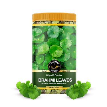 https://cdn.shopify.com/s/files/1/1857/6931/files/PCTsdOyUKL.jpg?v=1718258769